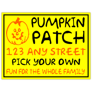 Pumpkin+Patch+101