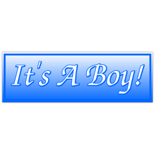 It_39_s+A+Boy+Banner+2