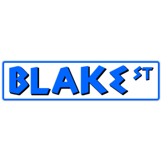 Personalized Last Name Sign BLAKE Street Sign