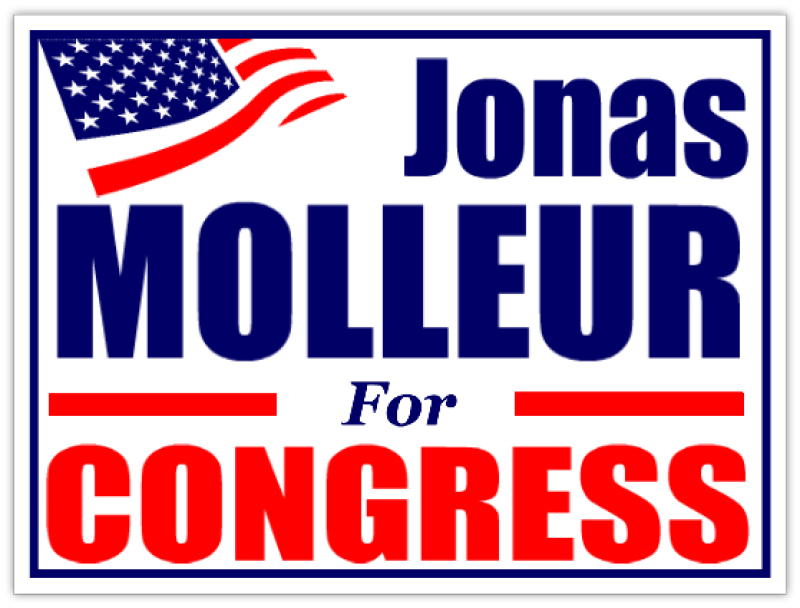 Congress Campaign Sign Political Signs