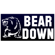 Bear Down Banner