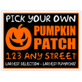 Pumpkin Patch 102